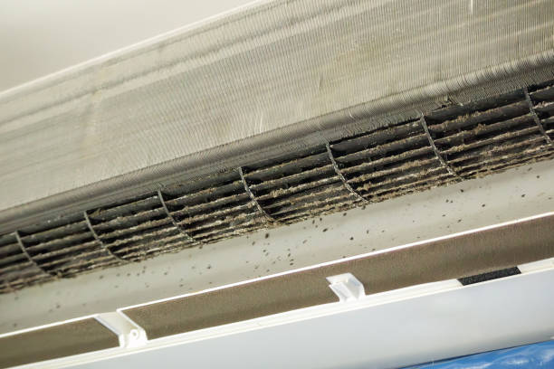 Best Commercial Air Duct Cleaning  in Fayette, AL