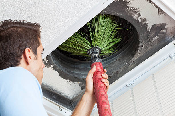 Best Professional Duct Cleaning Services  in Fayette, AL